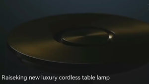 Stilingas pastatomas šviestuvas video